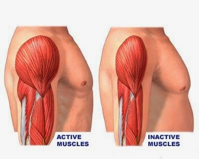 اصل برگشت پذیری در ورزش ایکس بادی